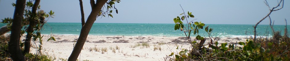 Isla Blanca, Mexico