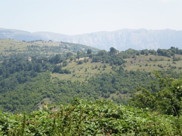 Bulgarian Countryside 