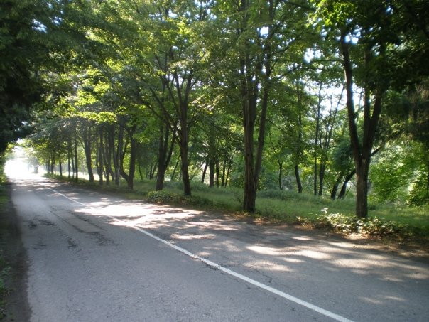 Road to Milonovo