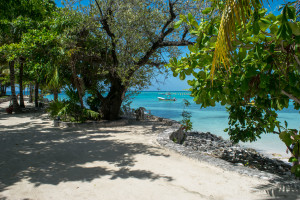 Akumal Bay