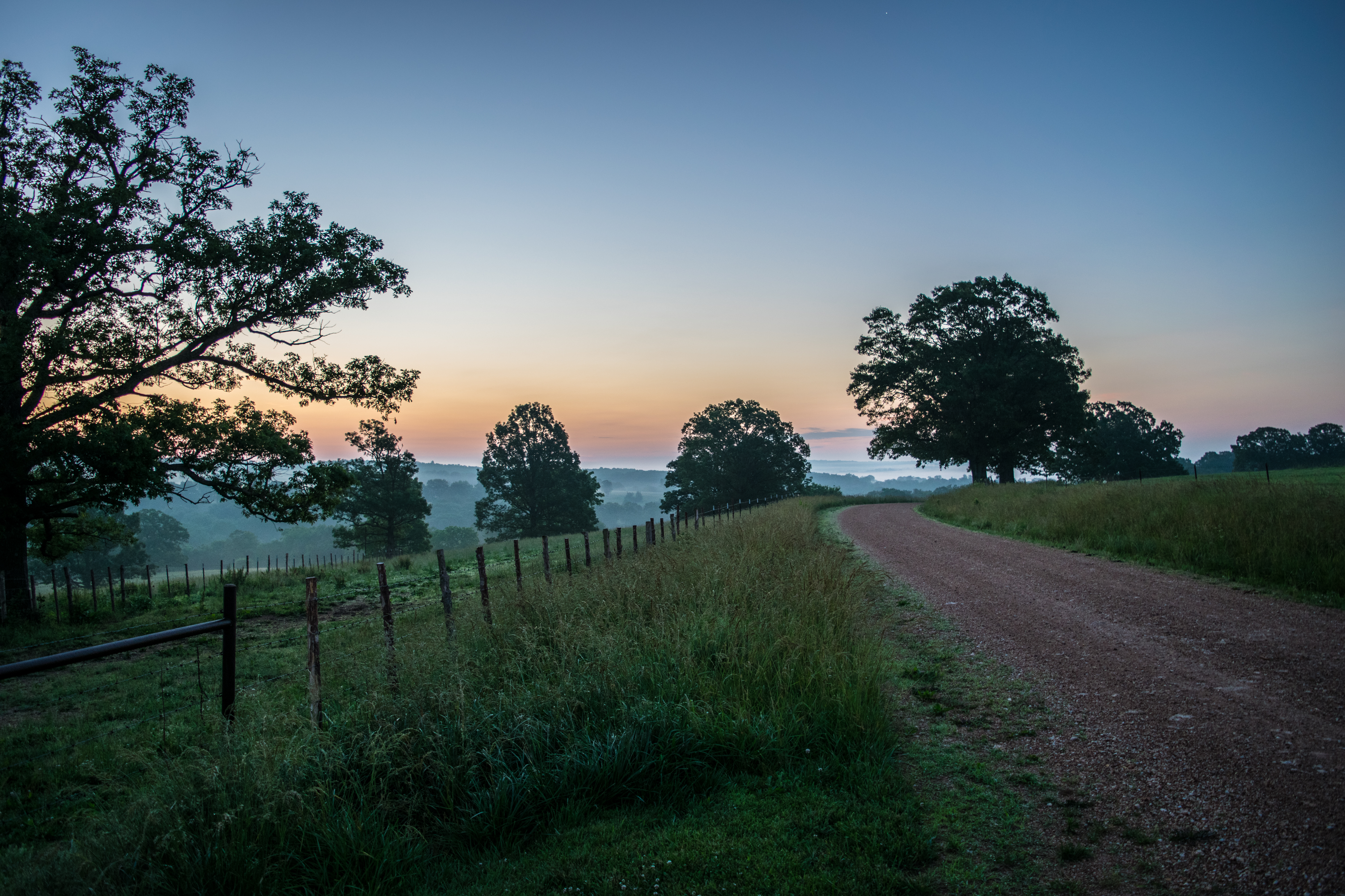 morning mist and road