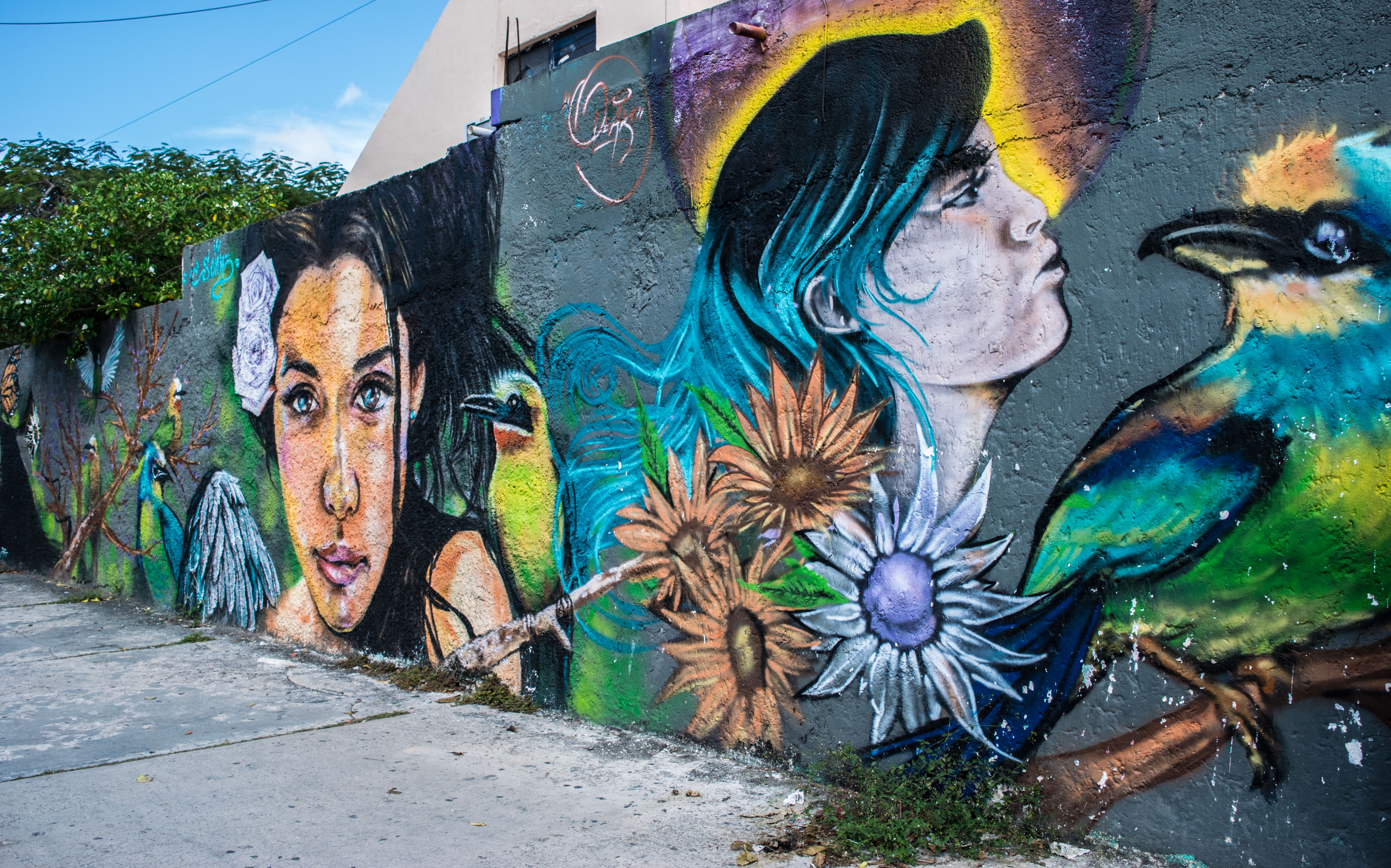 street art on Avenida Palenque in Cancun
