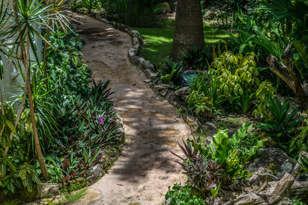 garden path