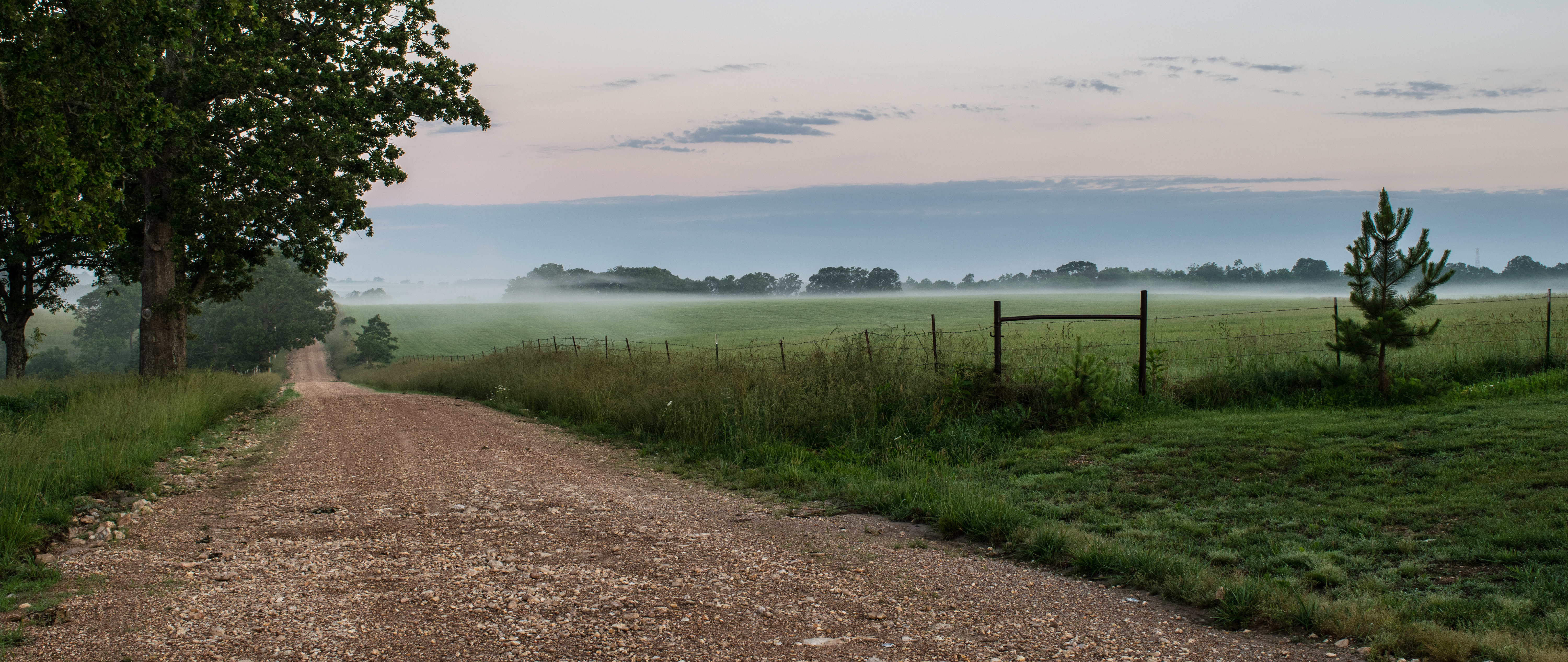 Ozark Mountains morning