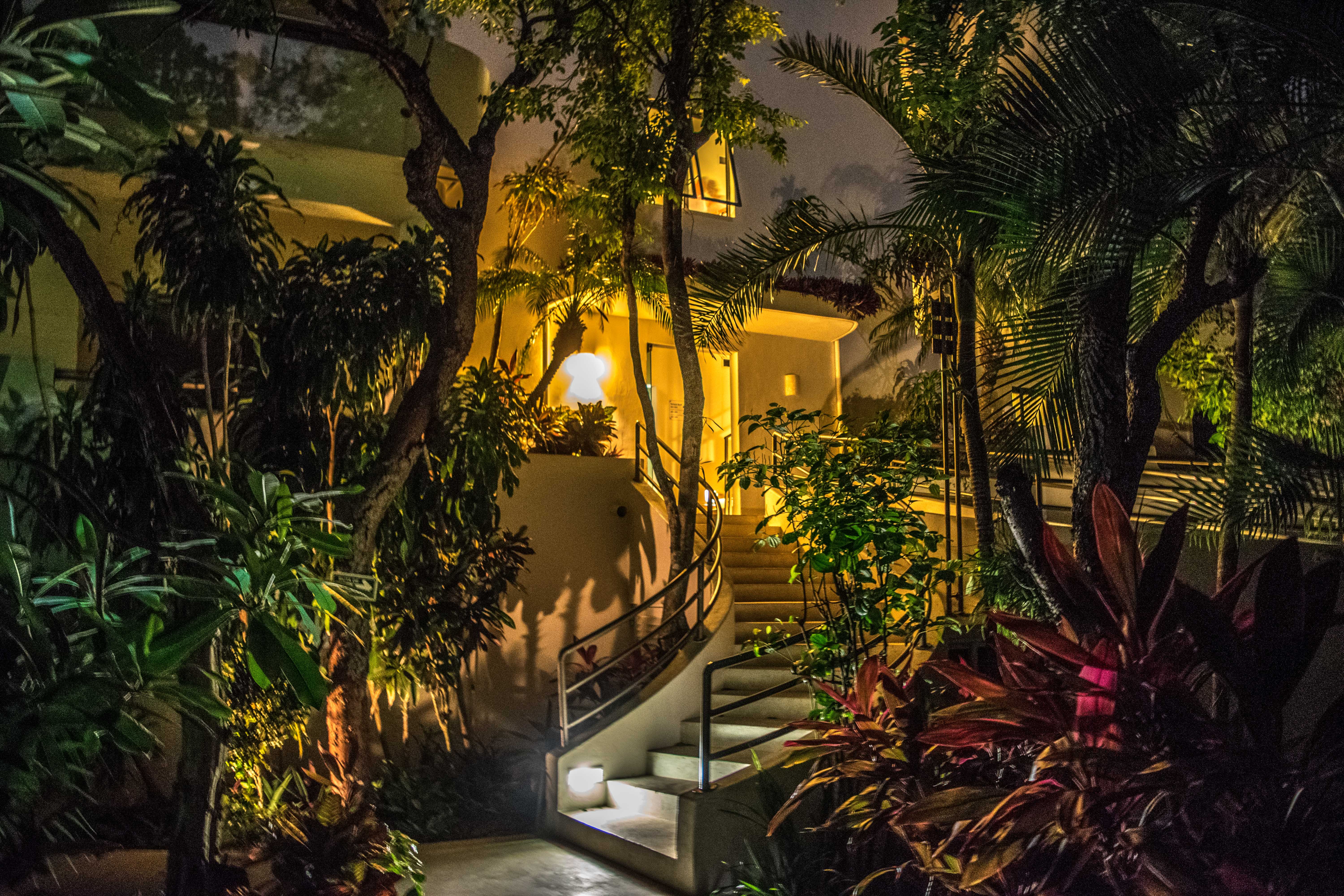 walkway at night