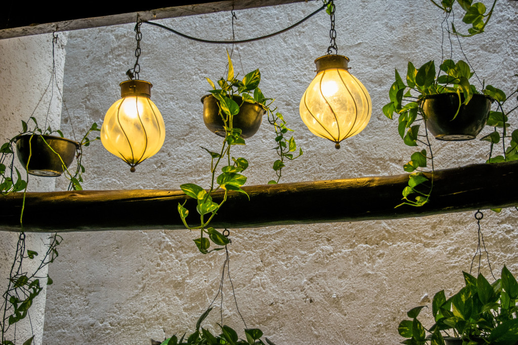 lights and plants