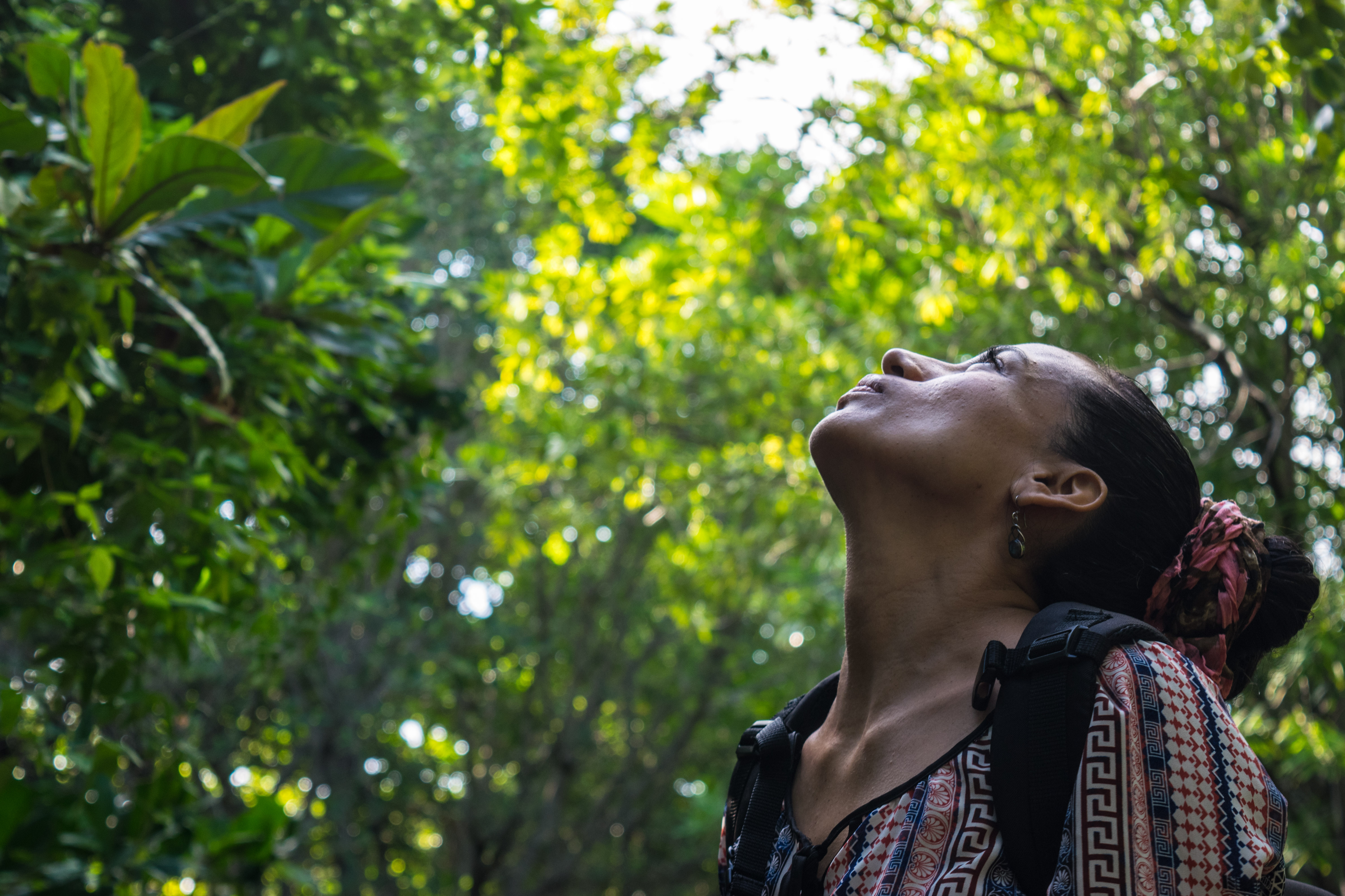 cris looking up into the trees