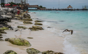 Playa Tortugas, Cancun