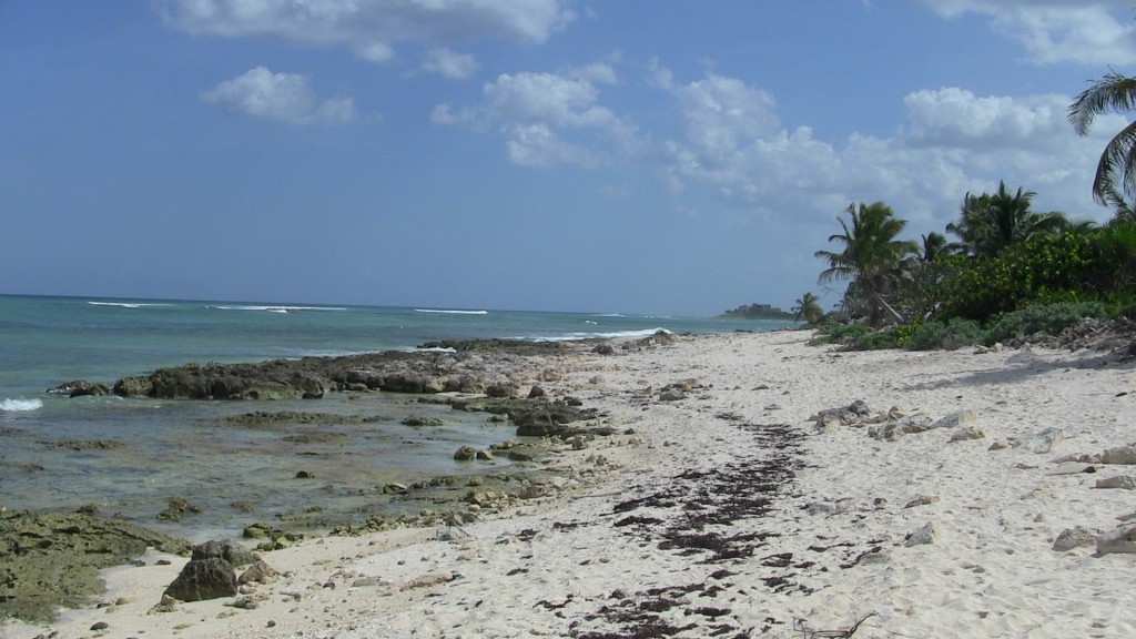 the coast south of Akumal