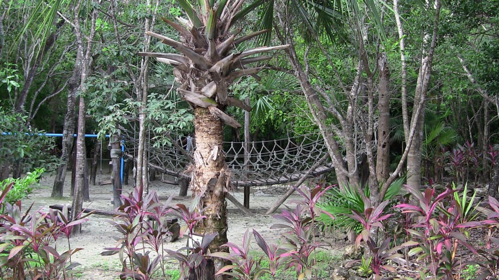 rope bridge