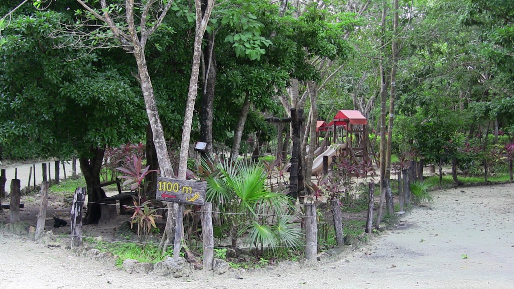 playground area