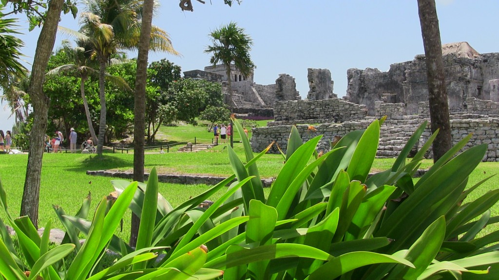 lush greenery at Tulum