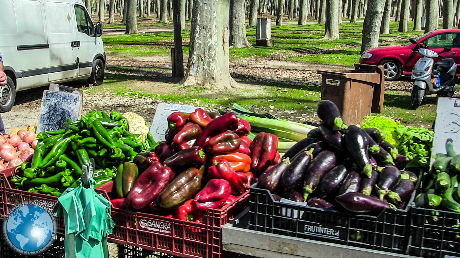 Fresh vegetables at the Devesa Market