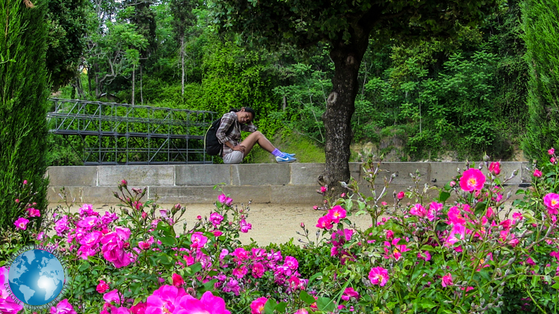 Cris in the rose gardens