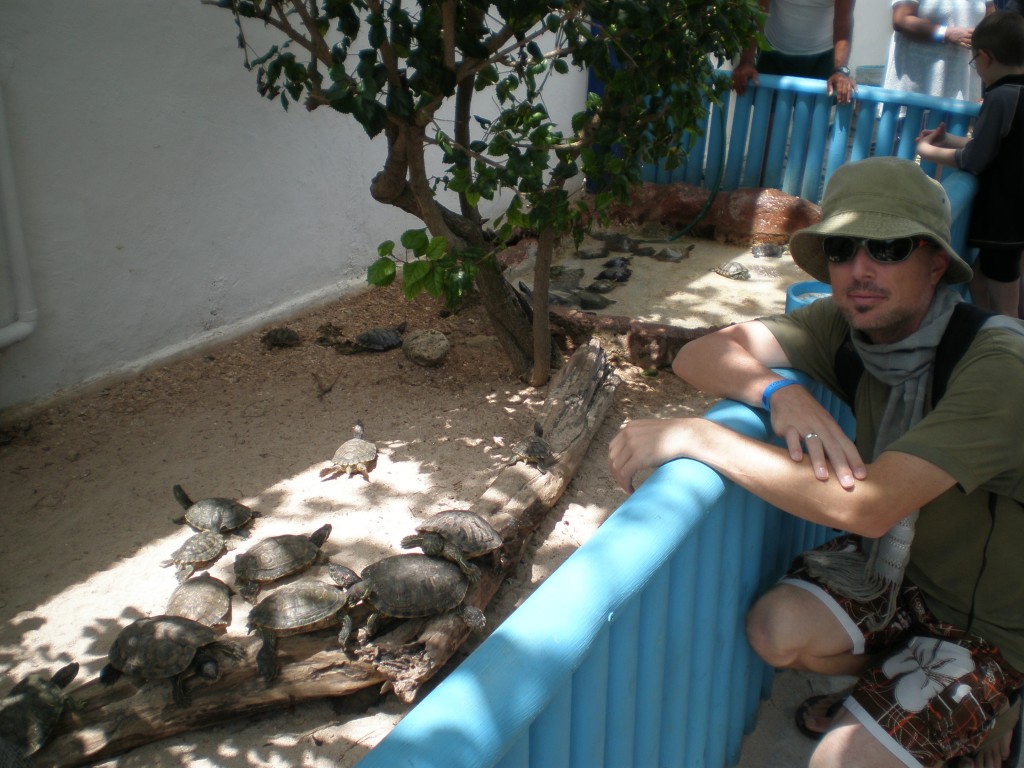 Turtle Farm, Isla Mujeres