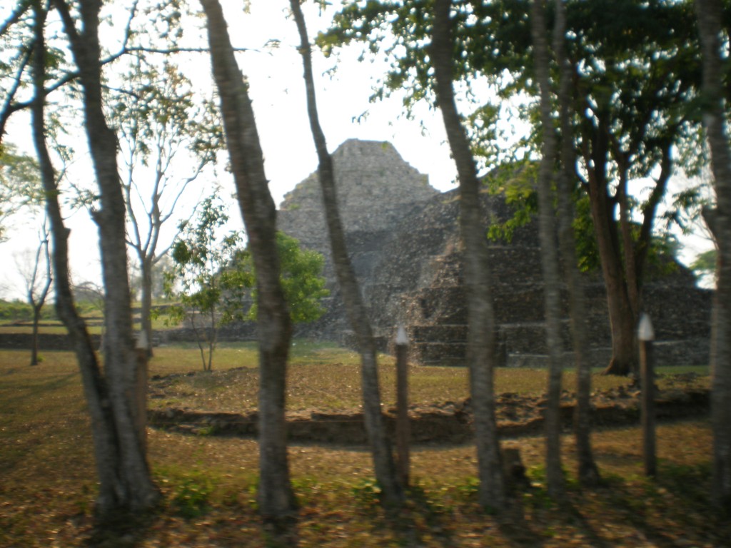 Reformas Ruins