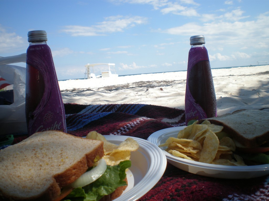 Picnic on the beach 