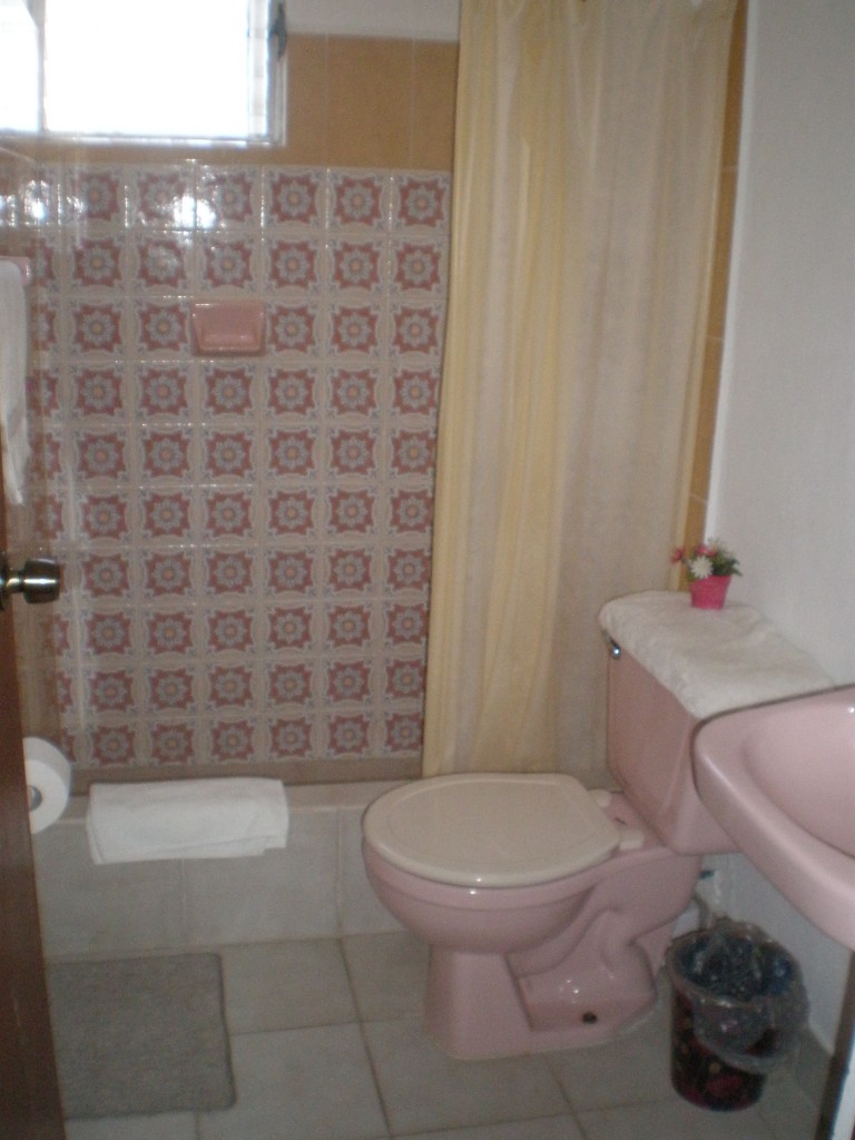 the bathroom