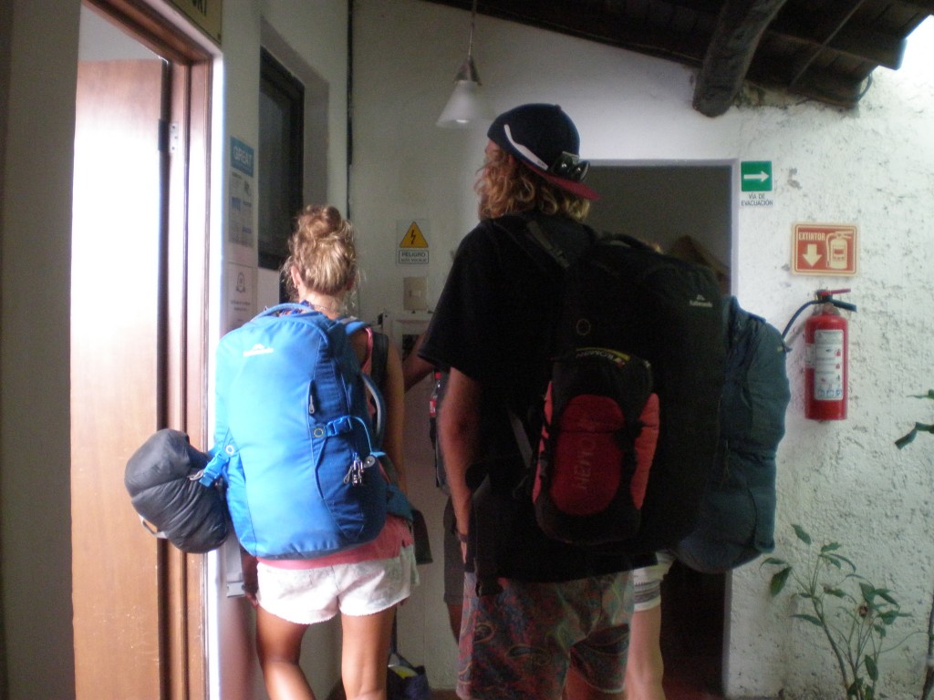 Backpacker arrivals