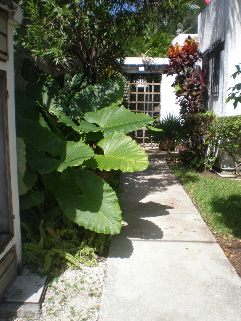 Entryway to Haina