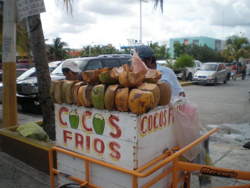 cold, fresh coconuts