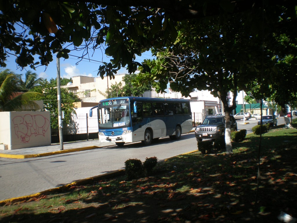 The R6 bus