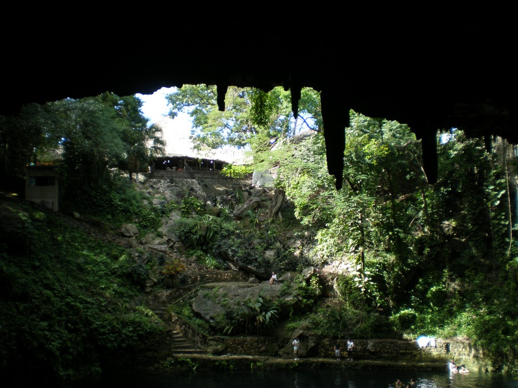 view from inside the cenote