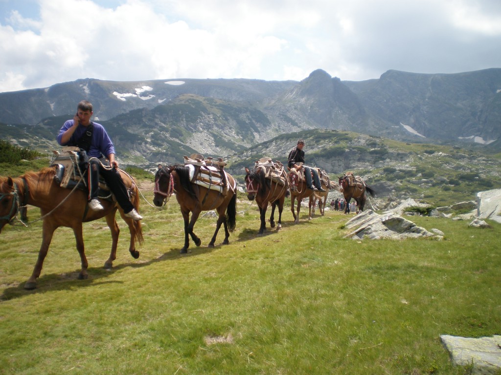 Seven Rila Lakes Horses