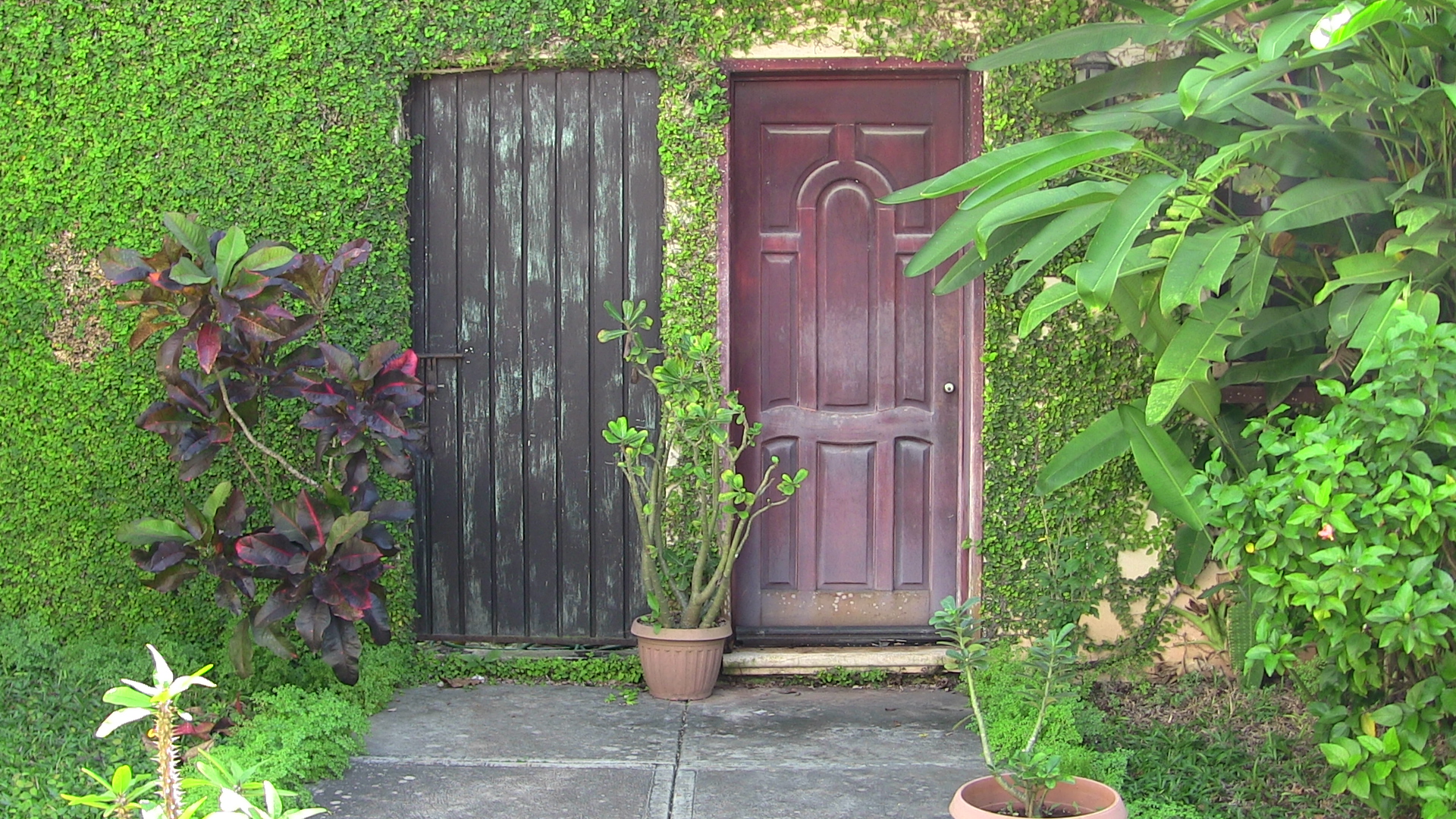 Doors in Valladolid, Mexico